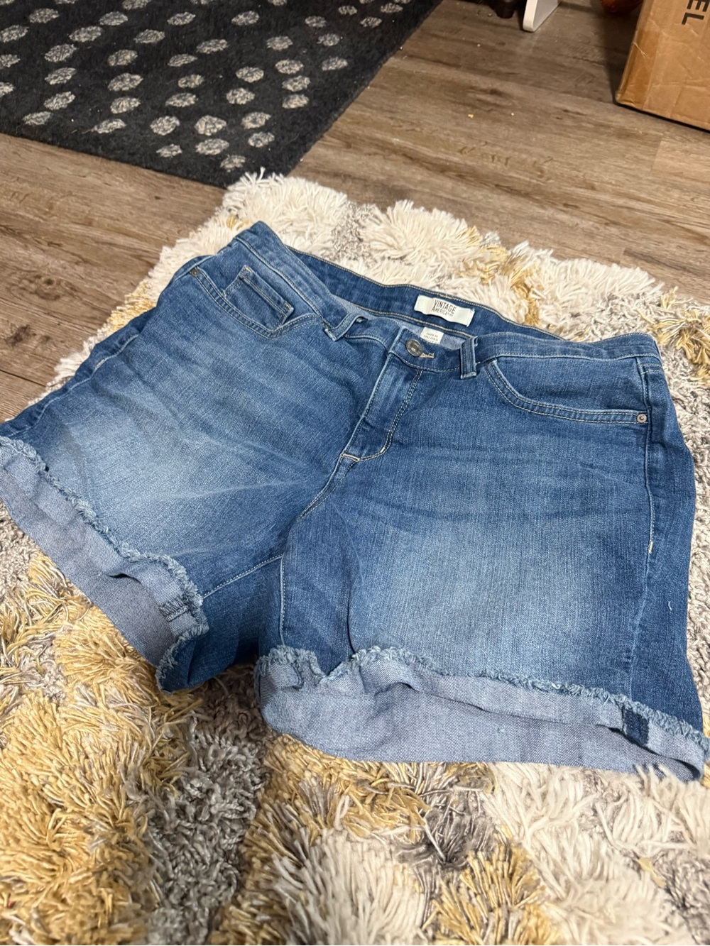 Size 14 Women’s Cut Off Denim Shorts / Vintage America Blue Jean Boho Short